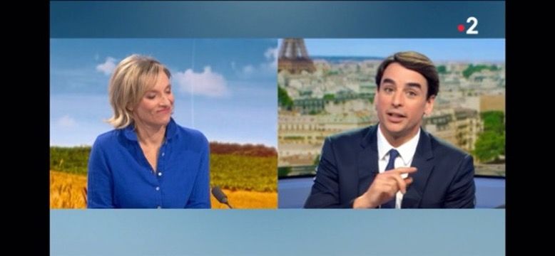 Capture du journal télévisé de France 2, rubrique Mon idée pour la France